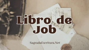 Libro de Job